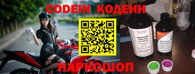 стаф Донской