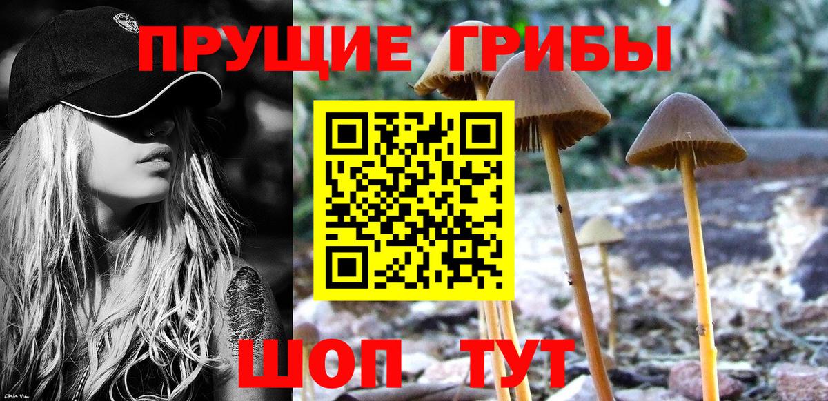 Галлюциногенные грибы мицелий  Вход с VPN  Миасс 