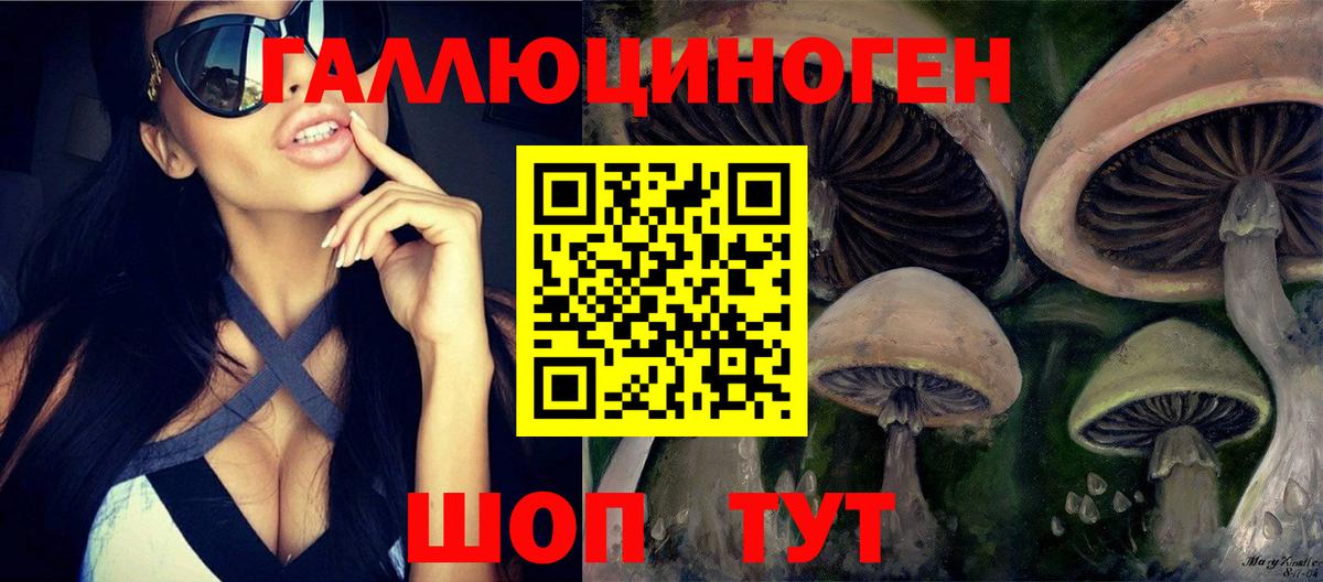 Псилоцибиновые грибы GOLDEN TEACHER Миасс